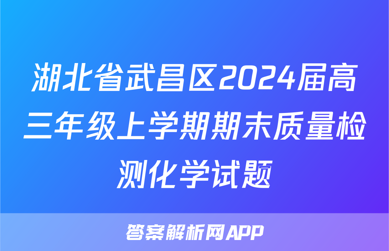 湖北省武昌区2024届高三年级上学期期末质量检测化学试题