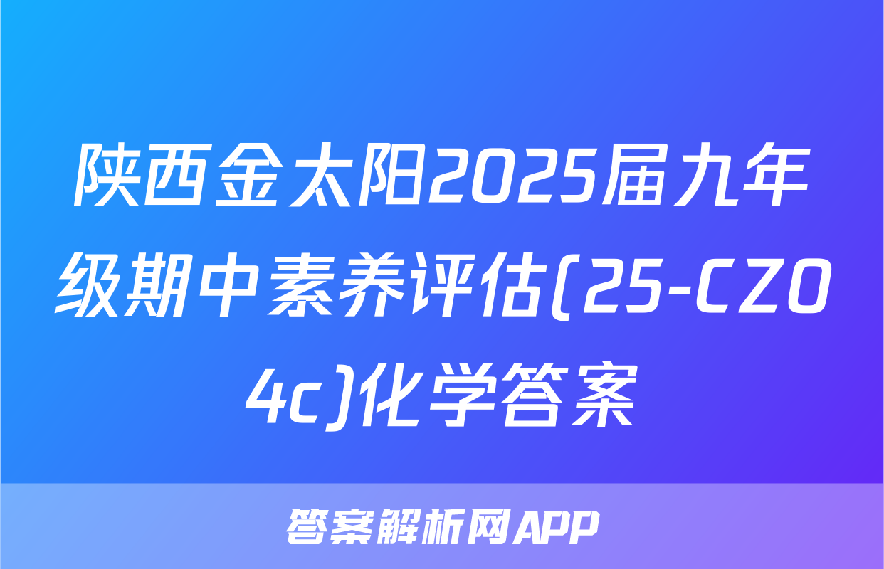 陕西金太阳2025届九年级期中素养评估(25-CZ04c)化学答案