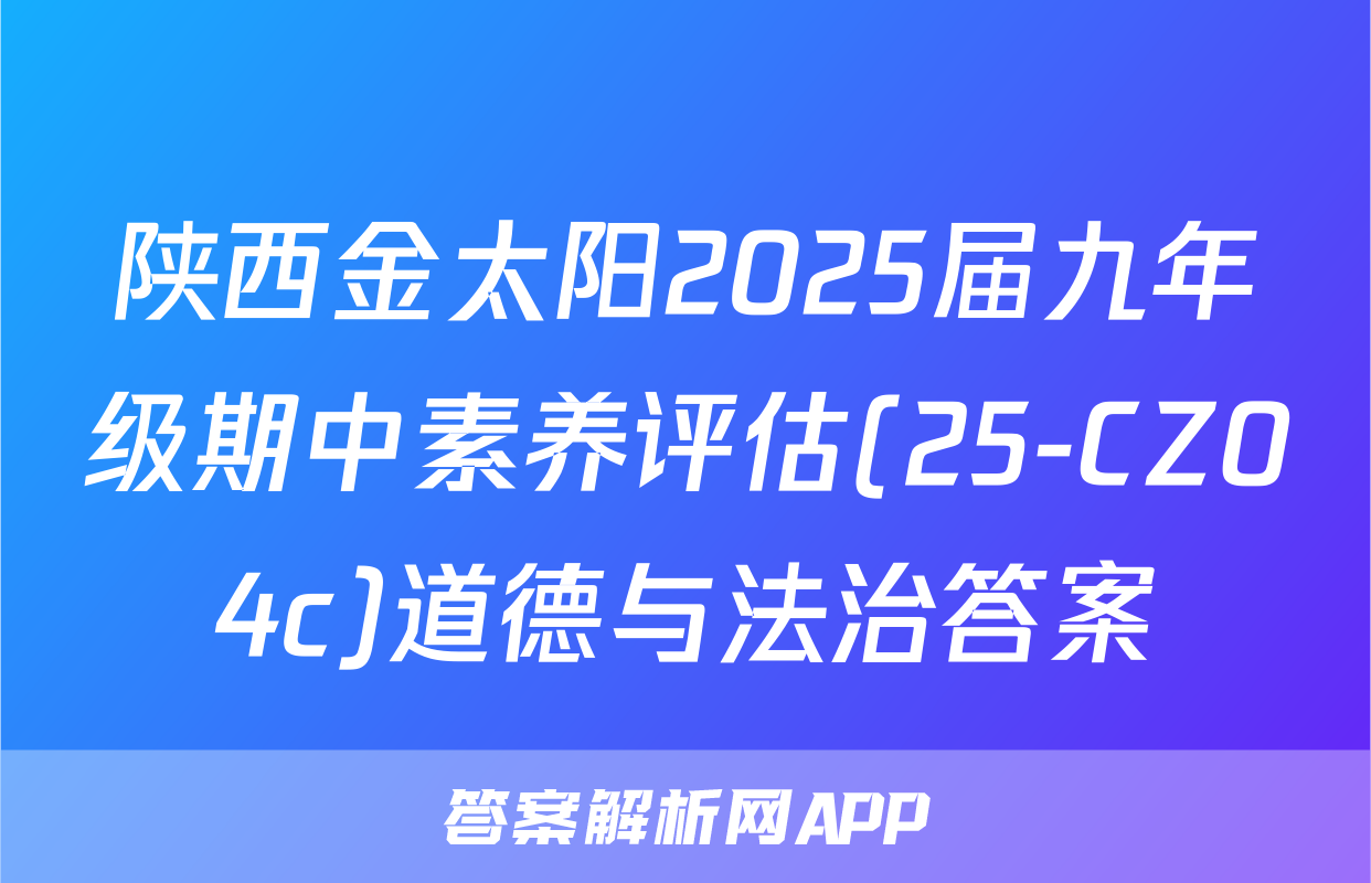 陕西金太阳2025届九年级期中素养评估(25-CZ04c)道德与法治答案