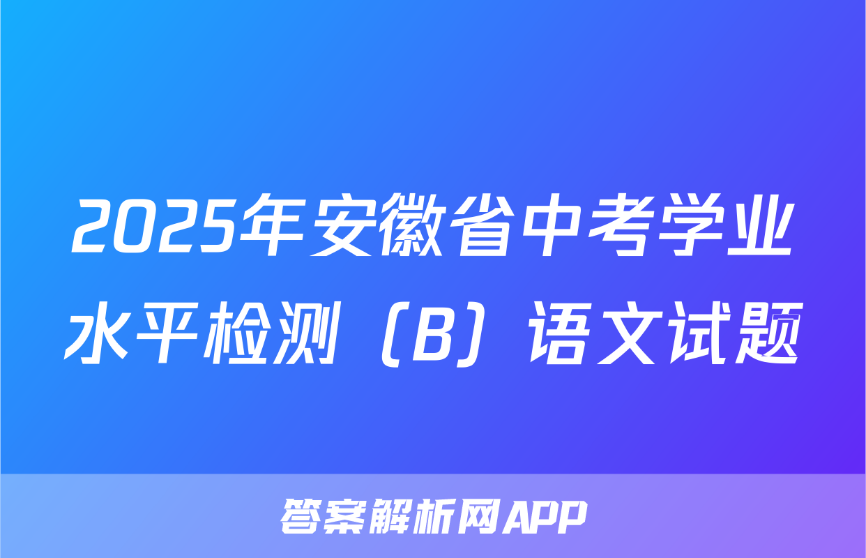 2025年安徽省中考学业水平检测（B）语文试题