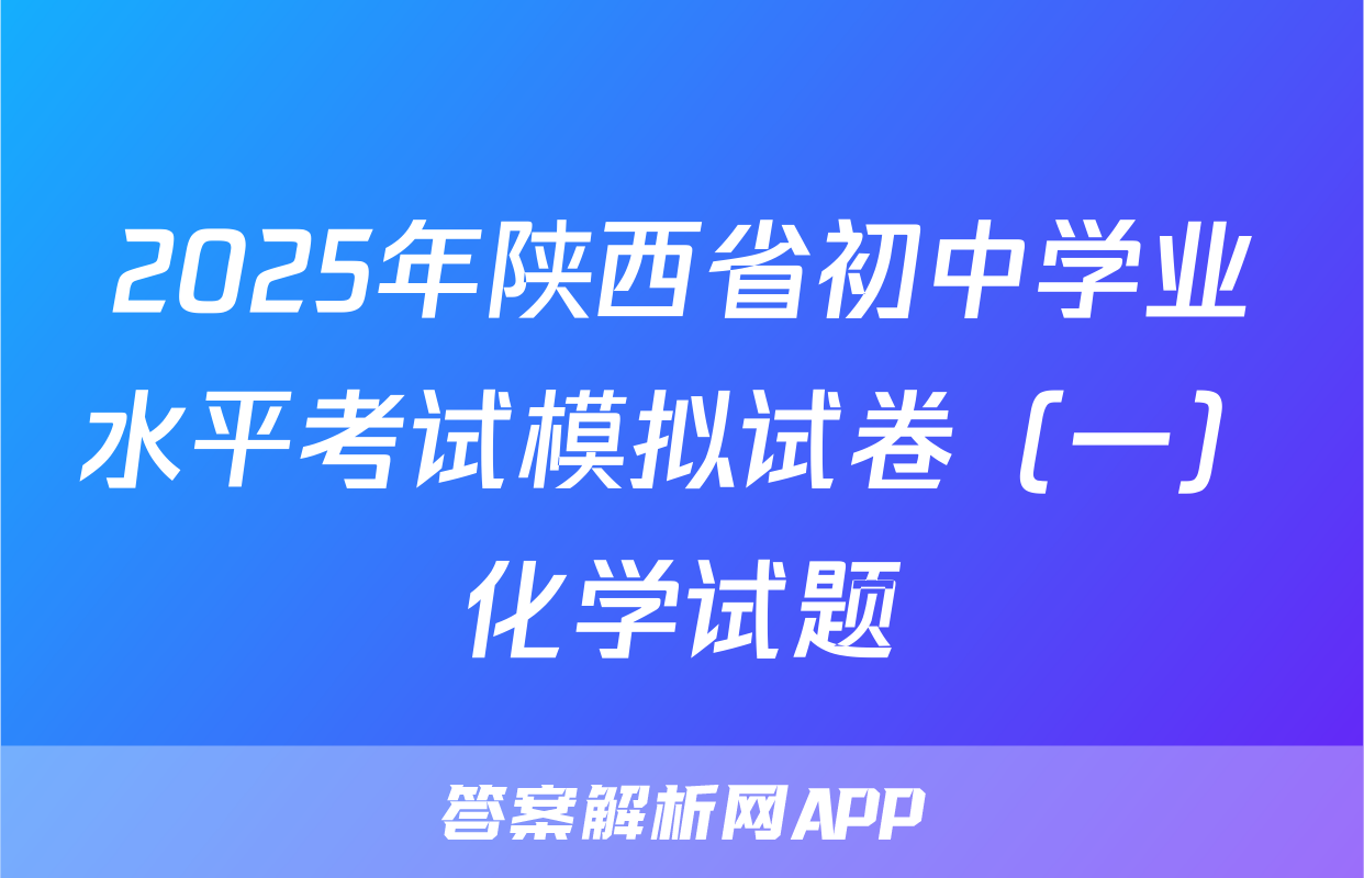 2025年陕西省初中学业水平考试模拟试卷（一）化学试题
