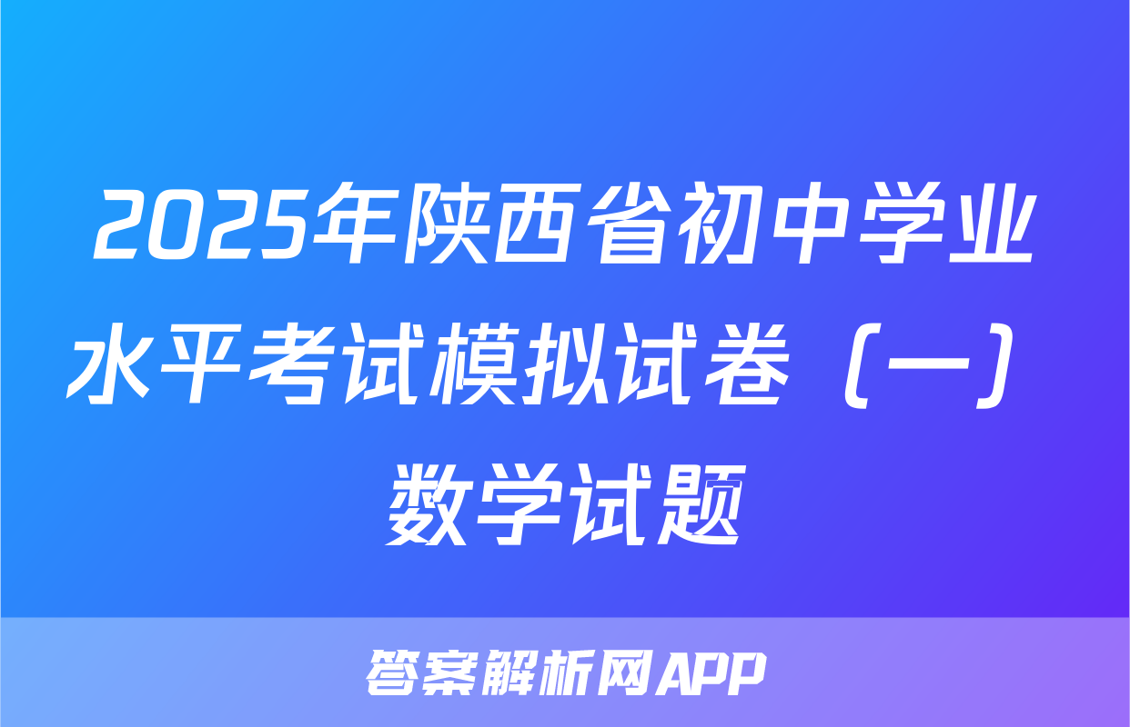 2025年陕西省初中学业水平考试模拟试卷（一）数学试题
